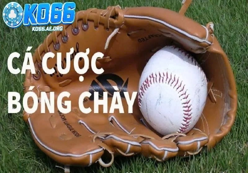 Cá cược bóng chày là gì? Tổng hợp các thông tin cần biết về cá cược bóng chày tại Ko66